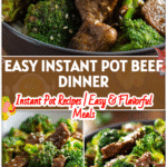 Easy Ginger Garlic Instant Pot Beef and Broccoli Dinner 5 Bowl of Instant Pot Beef and Broccoli with tender beef, bright broccoli, and sesame garnish