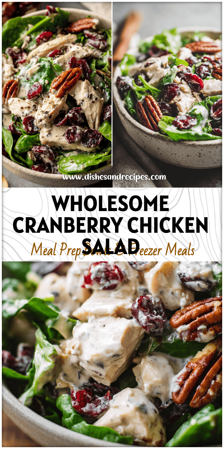 Bowl of Healthy Cranberry Pecan Chicken Salad with creamy dressing and fresh greens.