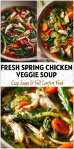 Bowl of hearty Chicken Broth Veggie Soup filled with colorful vegetables and tender chicken pieces.