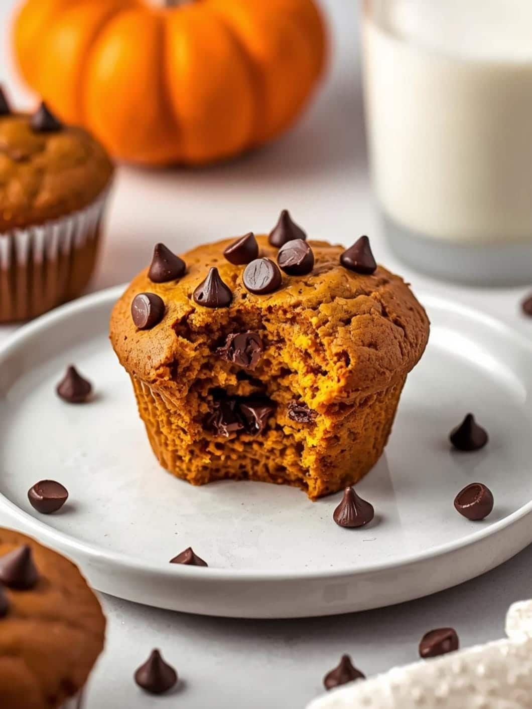 Moist Pumpkin Chocolate Chip Muffins Recipe