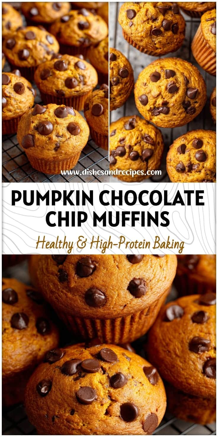 Moist Pumpkin Chocolate Chip Muffins Recipe
