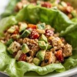 Avocado Chicken Salad Lettuce Wraps - Healthy & Mayo-Free! 12 =