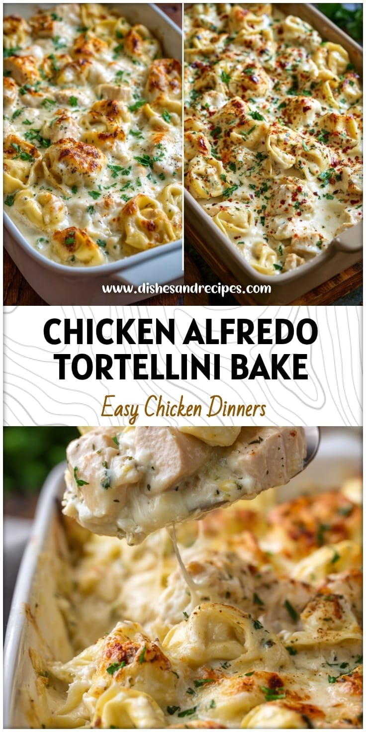 Easy Chicken Alfredo Tortellini Bake Recipe