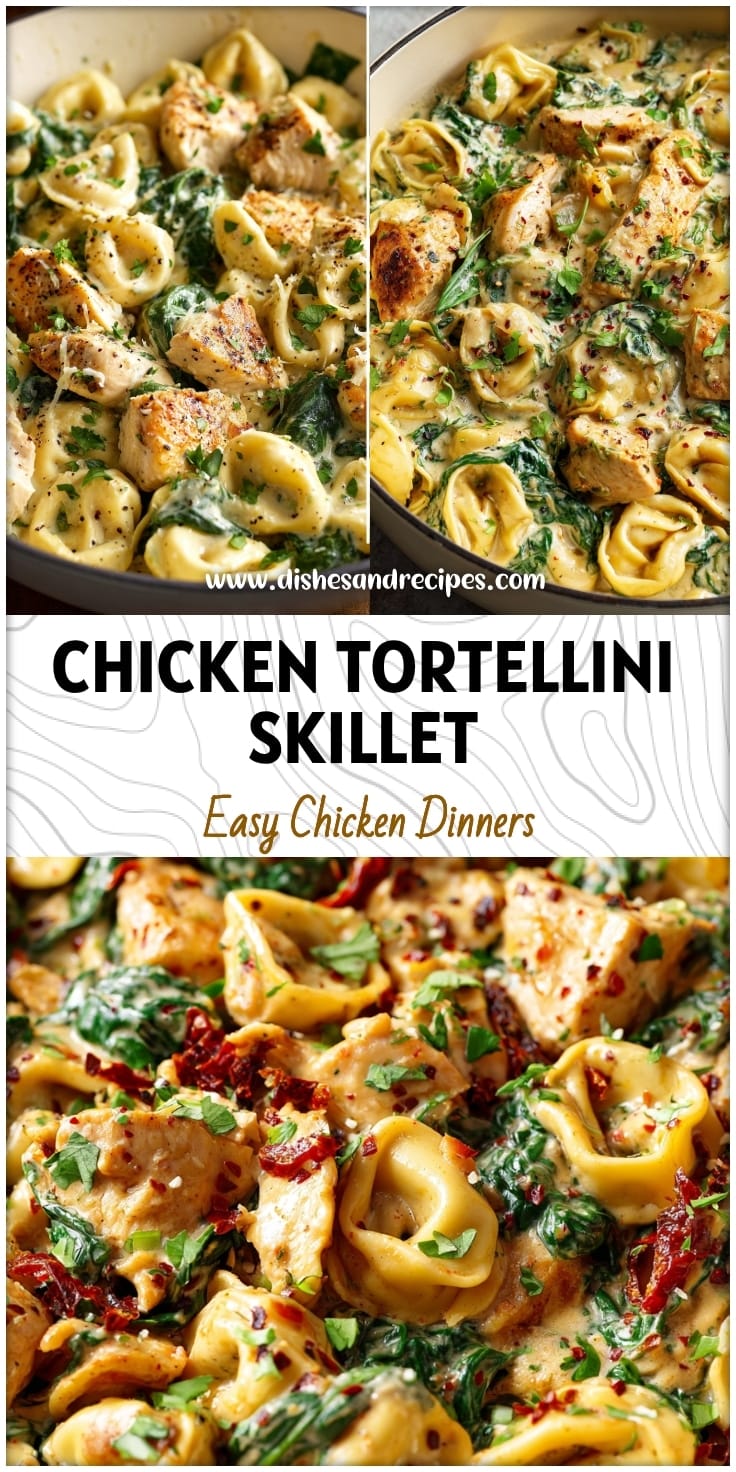 Easy Chicken Tortellini Spinach Skillet for Family Dinners 14 Easy Chicken Tortellini Spinach Skillet for Family Dinners