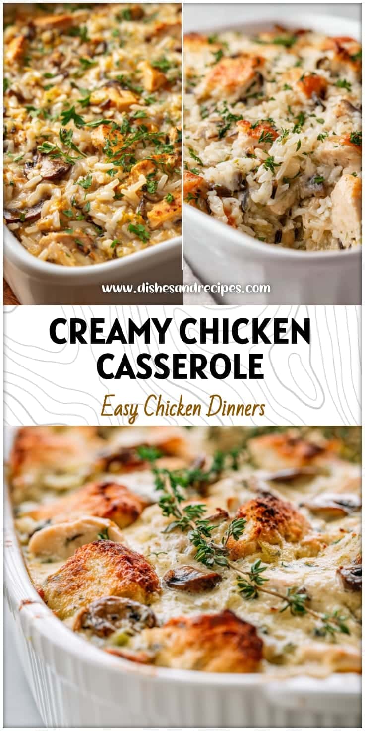 Creamy Chicken & Wild Rice Casserole: Easy Fall & Winter Comfort Food 14 Creamy Chicken & Wild Rice Casserole: Easy Fall & Winter Comfort Food