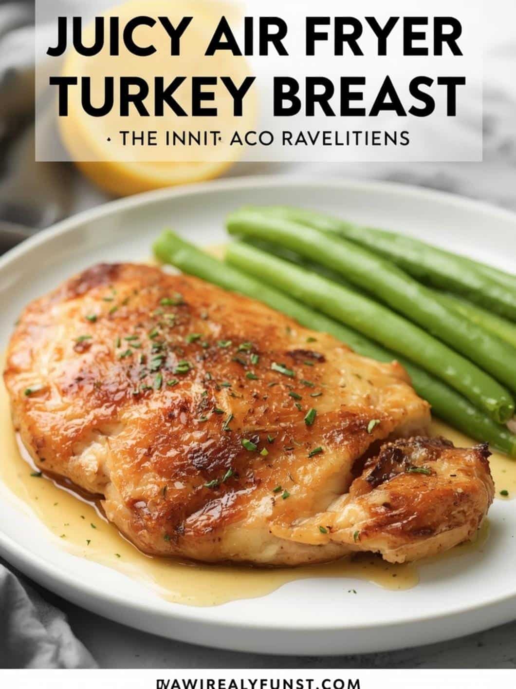 Juicy Air Fryer Turkey Breast Recipe 15 Juicy Air Fryer Turkey Breast Recipe