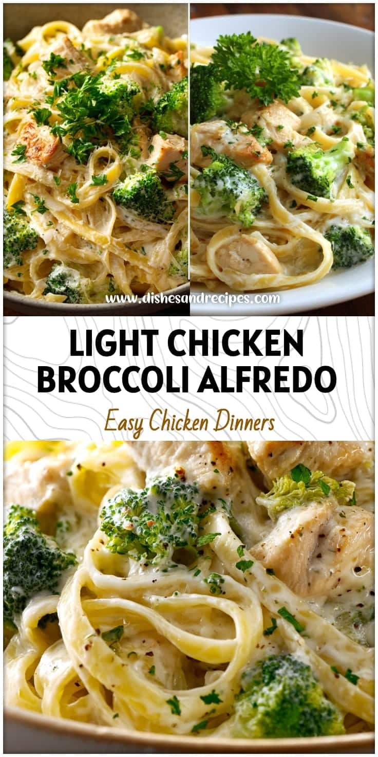 Light Chicken Broccoli Alfredo Recipe